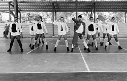 Royalty dimension dancers